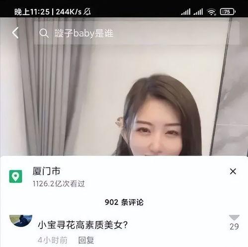 网红 原本是,揭秘网红背后的真相与影响力